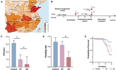 Heat Stress Decreases Intestinal Physiological Function and Facilitates the Proliferation of Harmful Intestinal Microbiota in Sturgeons